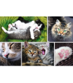 Puzzle da 1500 Pezzi - Just Cat Things