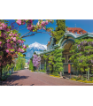 Puzzle da 2000 Pezzi - Merano, Italy