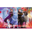 Puzzle da 260 Pezzi - Frozen 2: In Cerca di Avventure