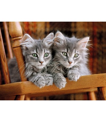 Puzzle da 500 Pezzi - Kittens