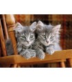 Puzzle da 500 Pezzi - Kittens