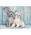 Puzzle da 500 Pezzi - Cat&Bunny
