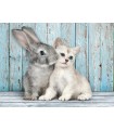 Puzzle da 500 Pezzi - Cat&Bunny
