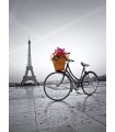 Puzzle da 500 Pezzi - Romantic Promenade in Paris