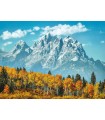 Puzzle da 500 Pezzi - Grand Teton in Fall