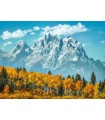 Puzzle da 500 Pezzi - Grand Teton in Fall