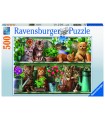 Puzzle da 500 Pezzi - Gatto sullo Scaffale