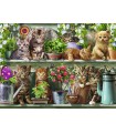 Puzzle da 500 Pezzi - Gatto sullo Scaffale