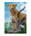 Puzzle da 500 Pezzi - Wild leopard
