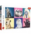 Puzzle da 500 Pezzi - Kittens