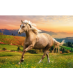 Puzzle da 500 Pezzi - Galoppata Pomeridiana sotto il Sole