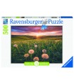Puzzle da 500 Pezzi - Denti di Leone al Tramonto