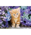Puzzle da 500 Pezzi - Ginger Cat