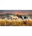 Puzzle da 13200 Pezzi - High Quality Collection: Band of Thunder