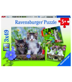 3 Puzzle da 49 Pezzi - Gattini