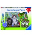 3 Puzzle da 49 Pezzi - Gattini