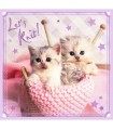 3 Puzzle in 1 - Dolci Gattini
