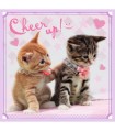 3 Puzzle in 1 - Dolci Gattini