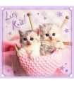 3 Puzzle in 1 - Dolci Gattini