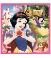 3 Puzzle in 1 - Principesse Disney: Il Mondo Incantato delle Principesse