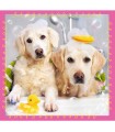 3 Puzzle in 1 - Cagnolini nel Bagno