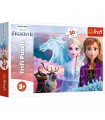 Puzzle da 30 Pezzi - Frozen 2: Il Coraggio delle Sorelle