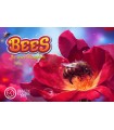 Bees: Il Reame Segreto - Gioco Educativo per Famiglie, 2-6 Giocatori, 20 Minuti di Divertimento con Api e Fiori!