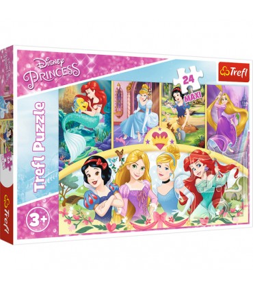 Puzzle da 24 Pezzi Maxi - Disney Princess: La Magia delle Memorie