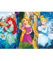 Puzzle da 60 Pezzi - Principesse Disney