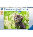 Puzzle da 500 Pezzi - Gattino nel Prato