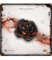 Black Rose Wars - Gioco da Tavolo Strategico di Magia e Combattimento per 2-4 Giocatori - Ludus Magnus Studio