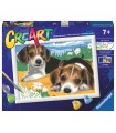 CreArt - Serie D: Cuccioli Jack Russell