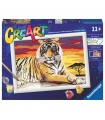 CreArt - Serie D:Tigre