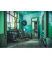 Puzzle da 1000 Pezzi Lost Places L Ospedale Psichiatrico