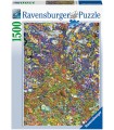 Puzzle da 1500 Pezzi - Arcobaleno di Pesci