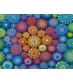 Puzzle da 2000 Pezzi - Arcobaleni Mandala