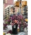 Puzzle da 300 Pezzi Puzzle Moments Fiori a New York