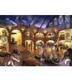 Puzzle da 368 Pezzi - Escape Kids: Il Museo di Storia Naturale