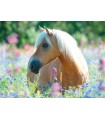 Puzzle da 300 Pezzi XXL - Cavallo tra i fiori