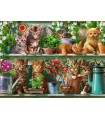 Puzzle da 500 Pezzi - Gatto sullo Scaffale