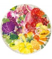 Puzzle da 500 Pezzi - Circle of Colors : Frutta e Verdura