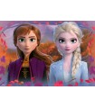 2 Puzzle da 12 Pezzi - Frozen 2