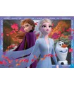 2 Puzzle da 24 Pezzi - Frozen 2