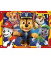 4 Puzzle da 42 Pezzi - Paw Patrol