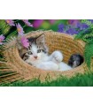 4 Puzzle da 100 Pezzi - Piccoli Gatti
