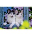 4 Puzzle da 100 Pezzi - Piccoli Gatti
