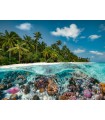 Puzzle da 2000 Pezzi - Un Tuffo alle Maldive