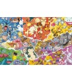 Puzzle da 5000 Pezzi - Pokémon 