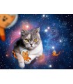 Puzzle da 1500 Pezzi - Gatto nello Spazio