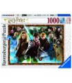 Puzzle da 1000 Pezzi Harry Potter